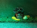 IMG 1658